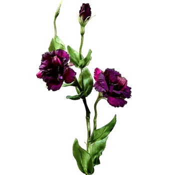 Lisianthus - Aubergine 25in FSL316-VI/TT