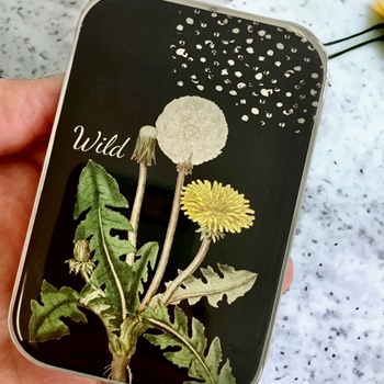 Dandelion Decoupaged Tin - 3.5x2.3x.5in Slide Open