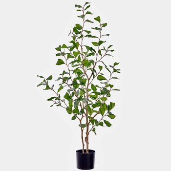 Ficus - Tree 48in Wired Trunk Black Plastic Pot - LTF114-GR