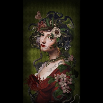 30W/54H Velvet Wall Hanging Medusa