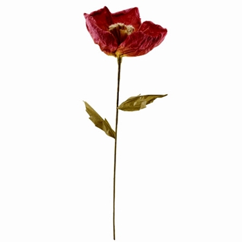 Poppy - Cayenne Red Single Stem 10x35in - Paper