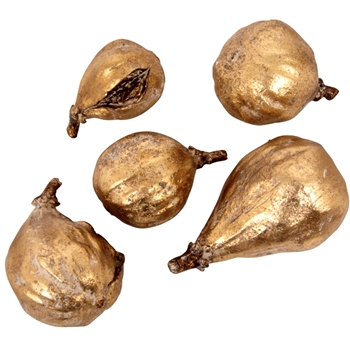 Figs Antique Gild Finish Set of 5 - 2-3.5in Asst