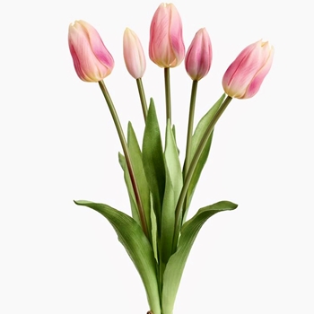 Tulip - Bundle X5 Rosie Pink 16in - FBQ755-PK Real Touch