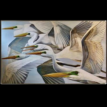 67W/40H - Framed Gicle - Ardea Alba - Silver Frame