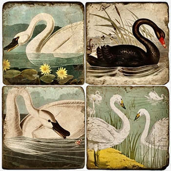 Coaster - Tumbled Marble Set4 - Swans Grace  STUDIO VERTU
