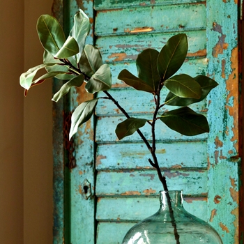 Magnolia Leaf Branch 44in